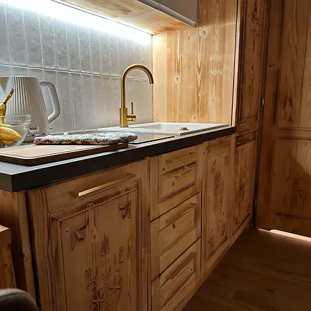 Studio-złota Jaskinia Z Widokiem Na Tatry I Tarasem Apartament Zakopane