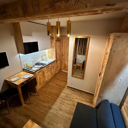 Studio-złota Jaskinia Z Widokiem Na Tatry I Tarasem Zakopane