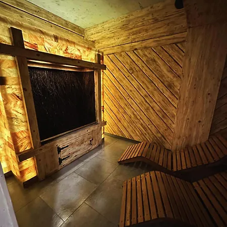 Studio-zlota Jaskinia Z Widokiem Na Tatry I Tarasem Appartamento *